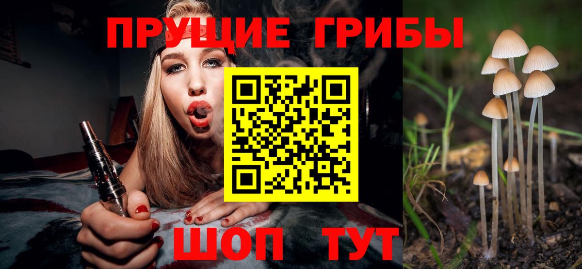 Псилоцибиновые грибы MAGIC MUSHROOMS  Вход с VPN  Псилоцибиновые грибы Psilocybine cubensis  Белая Калитва 
